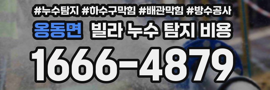 옹동면 빌라 누수 탐지 비용