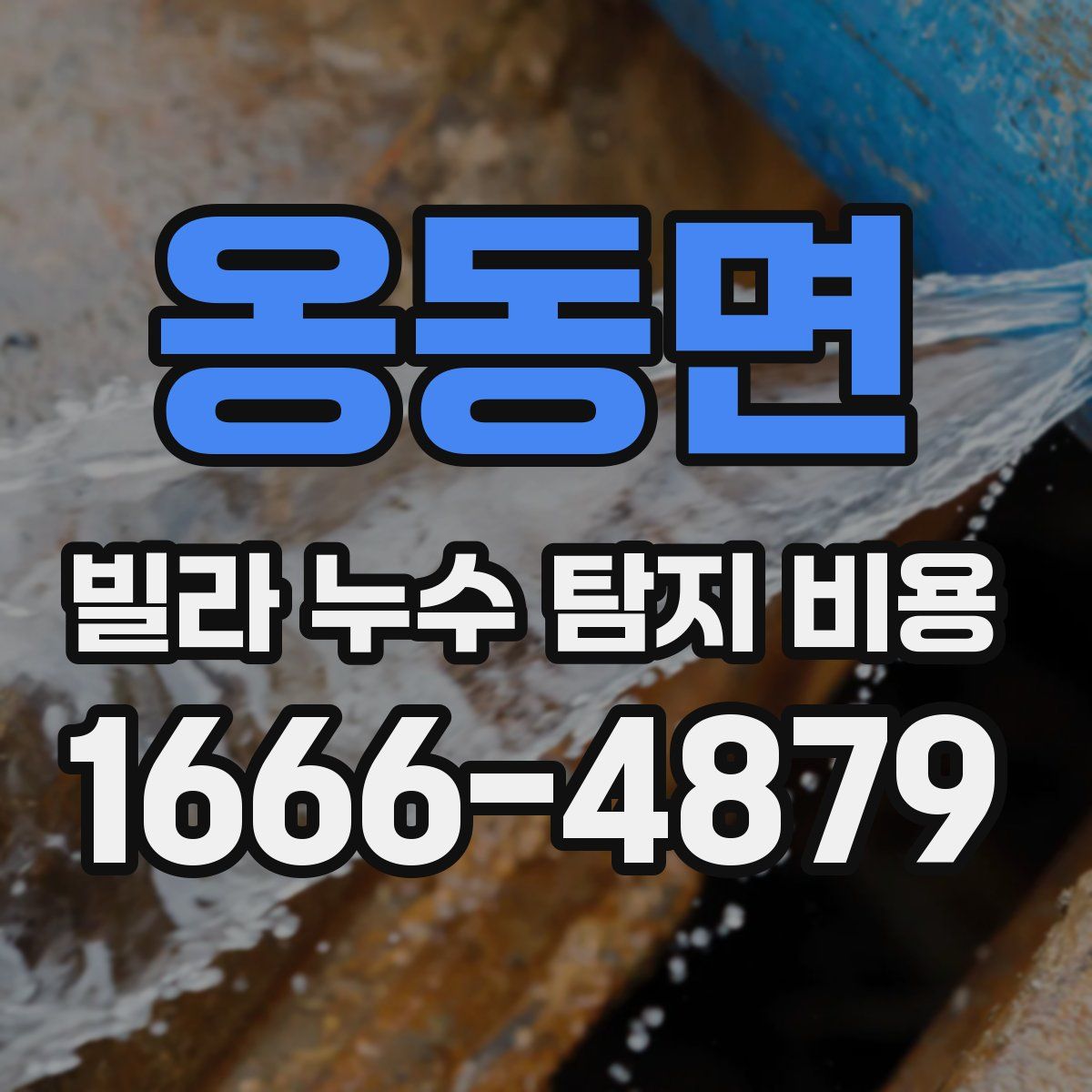 옹동면 빌라 누수 탐지 비용