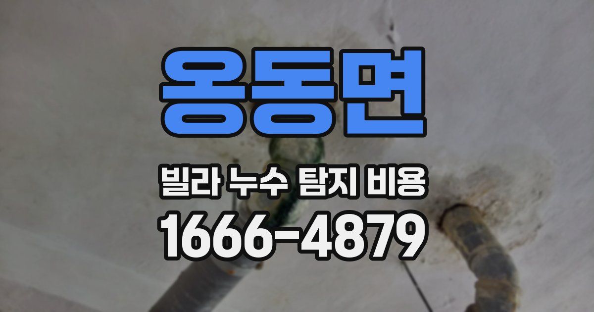 옹동면 빌라 누수 탐지 비용