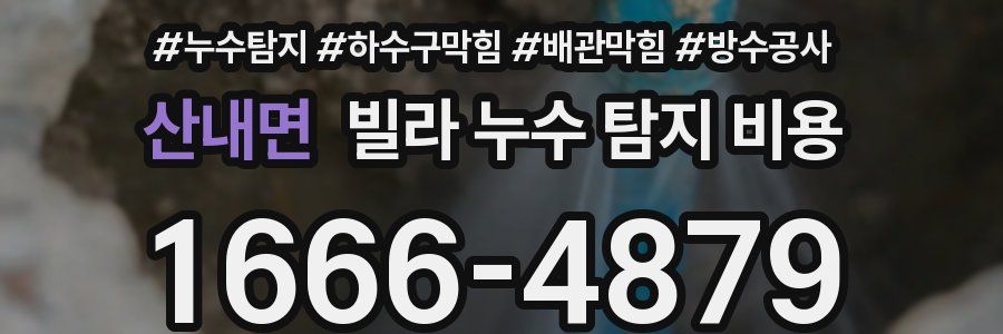 산내면 빌라 누수 탐지 비용