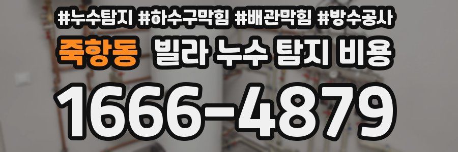 죽항동 빌라 누수 탐지 비용