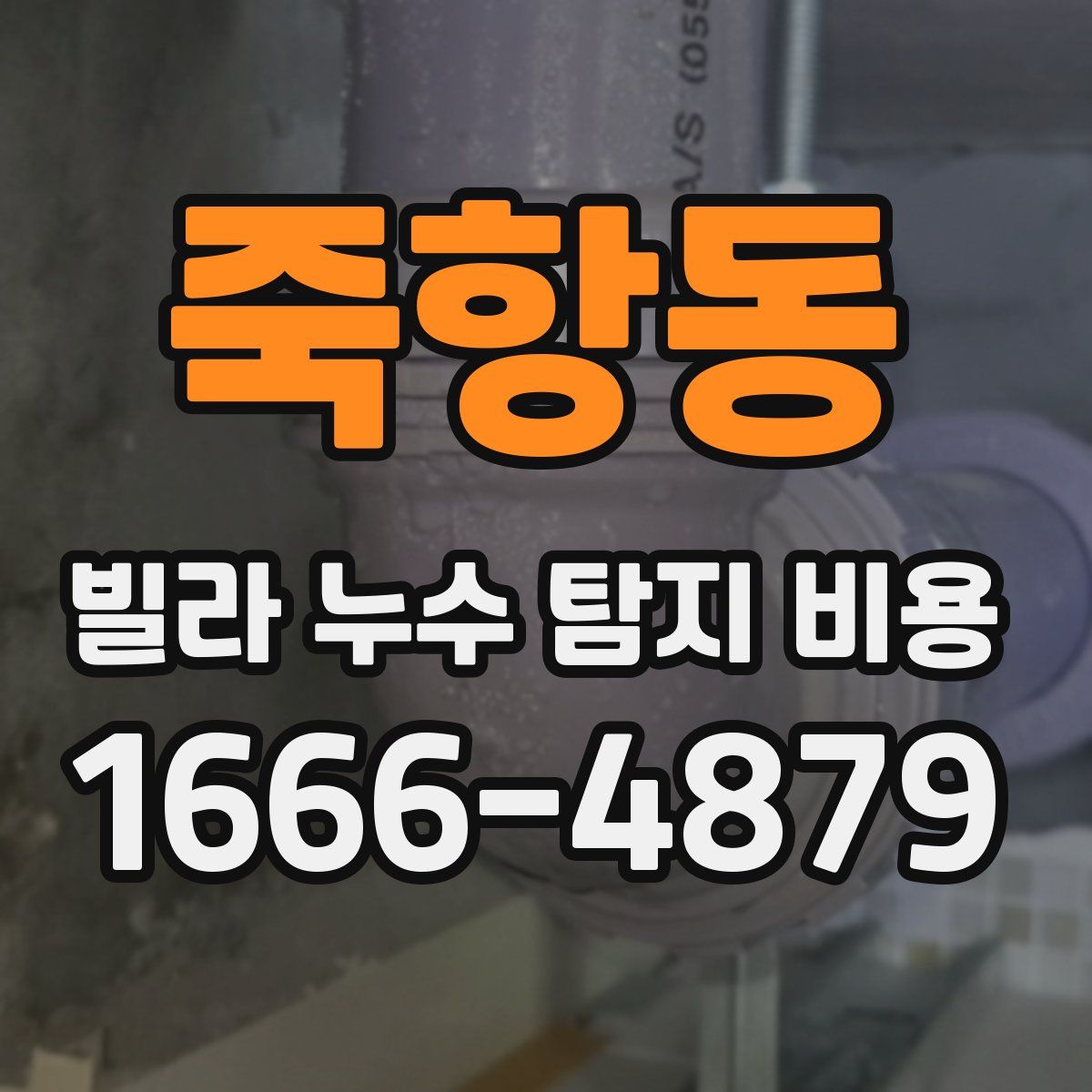 죽항동 빌라 누수 탐지 비용