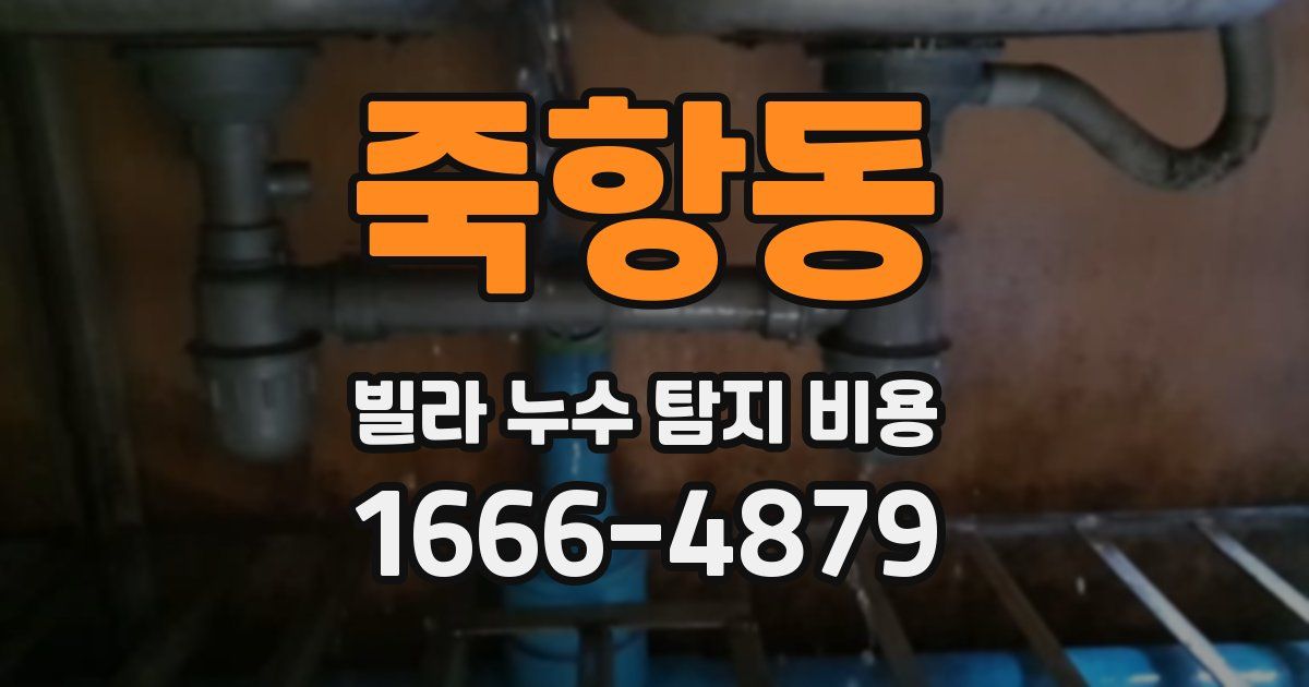 죽항동 빌라 누수 탐지 비용