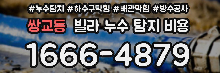 쌍교동 빌라 누수 탐지 비용
