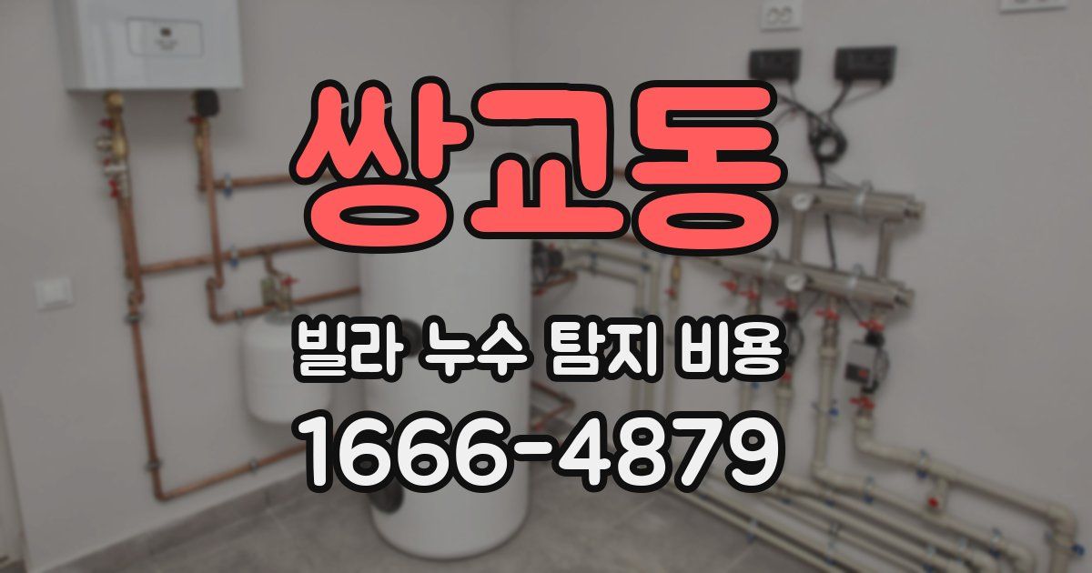 쌍교동 빌라 누수 탐지 비용