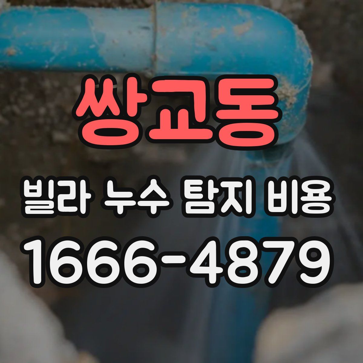 쌍교동 빌라 누수 탐지 비용