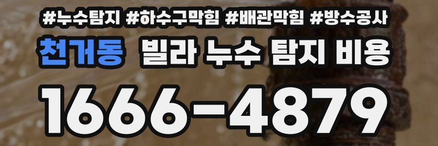 천거동 빌라 누수 탐지 비용