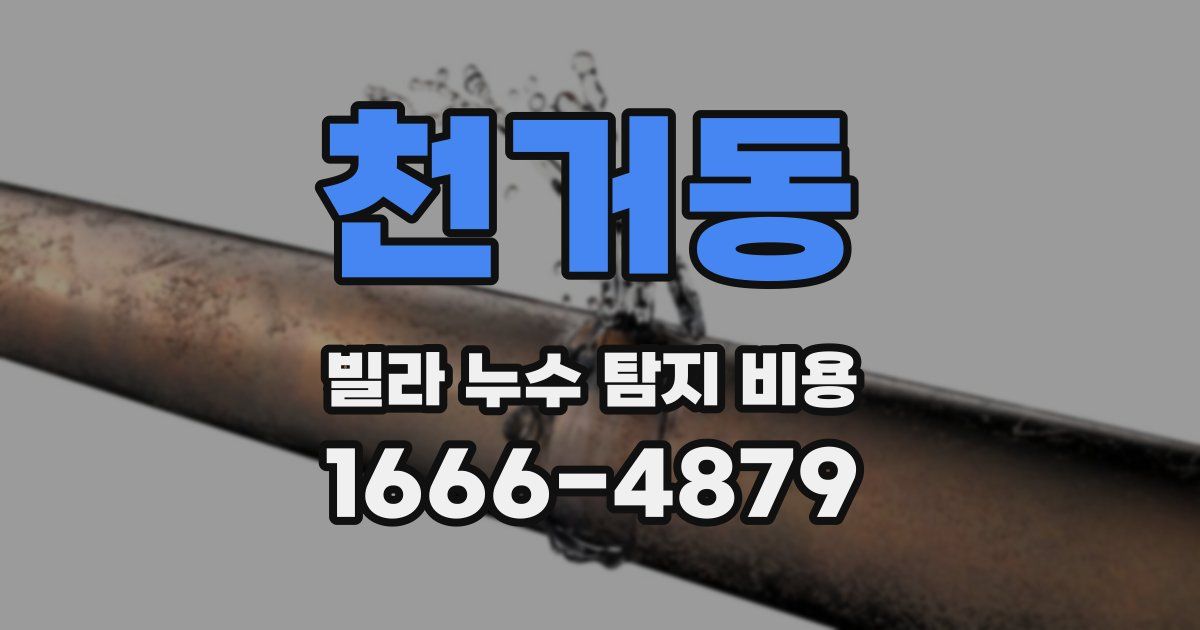 천거동 빌라 누수 탐지 비용