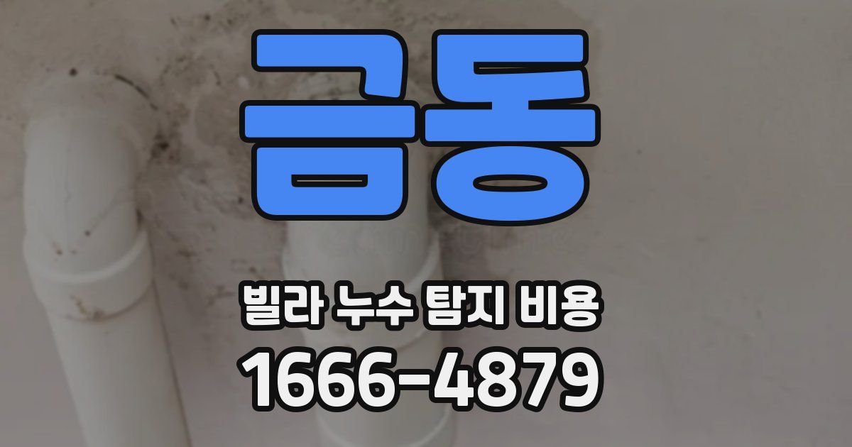 금동 빌라 누수 탐지 비용