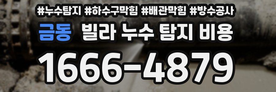 금동 빌라 누수 탐지 비용