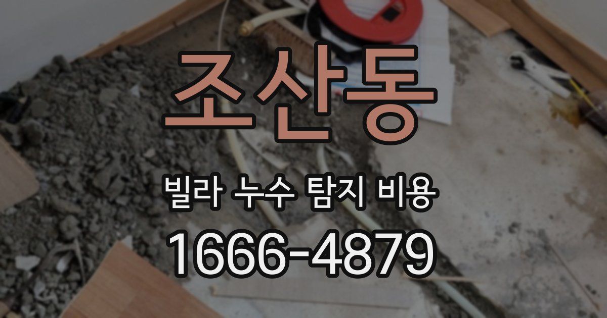 조산동 빌라 누수 탐지 비용