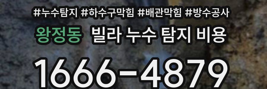 왕정동 빌라 누수 탐지 비용