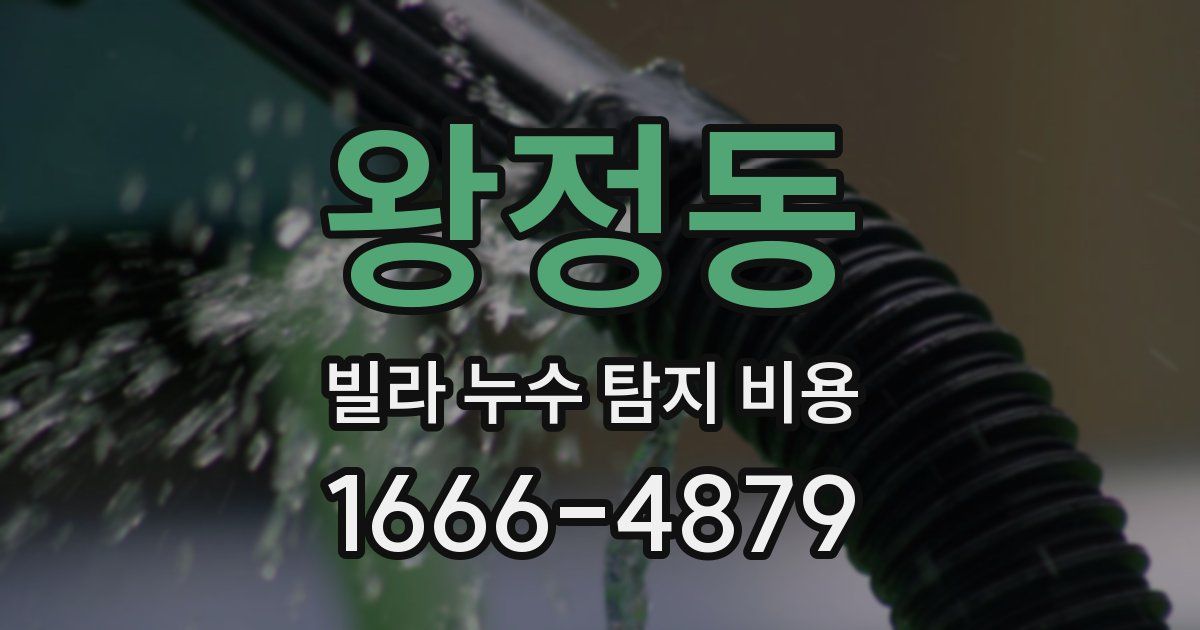 왕정동 빌라 누수 탐지 비용