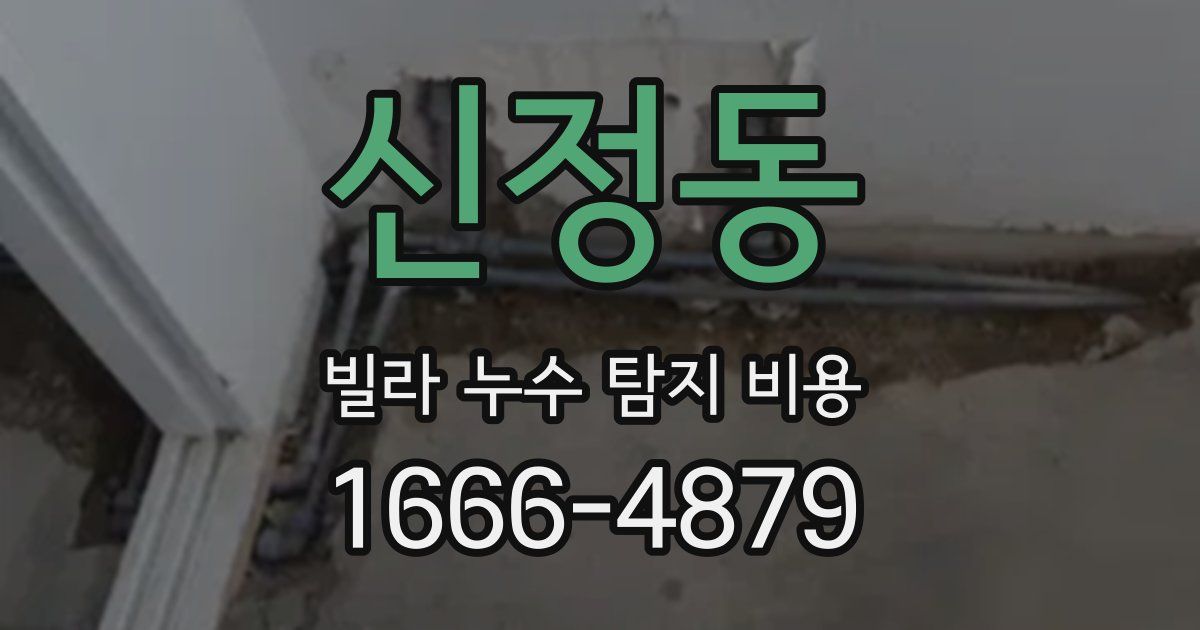 신정동 빌라 누수 탐지 비용