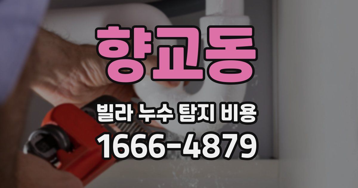 향교동 빌라 누수 탐지 비용