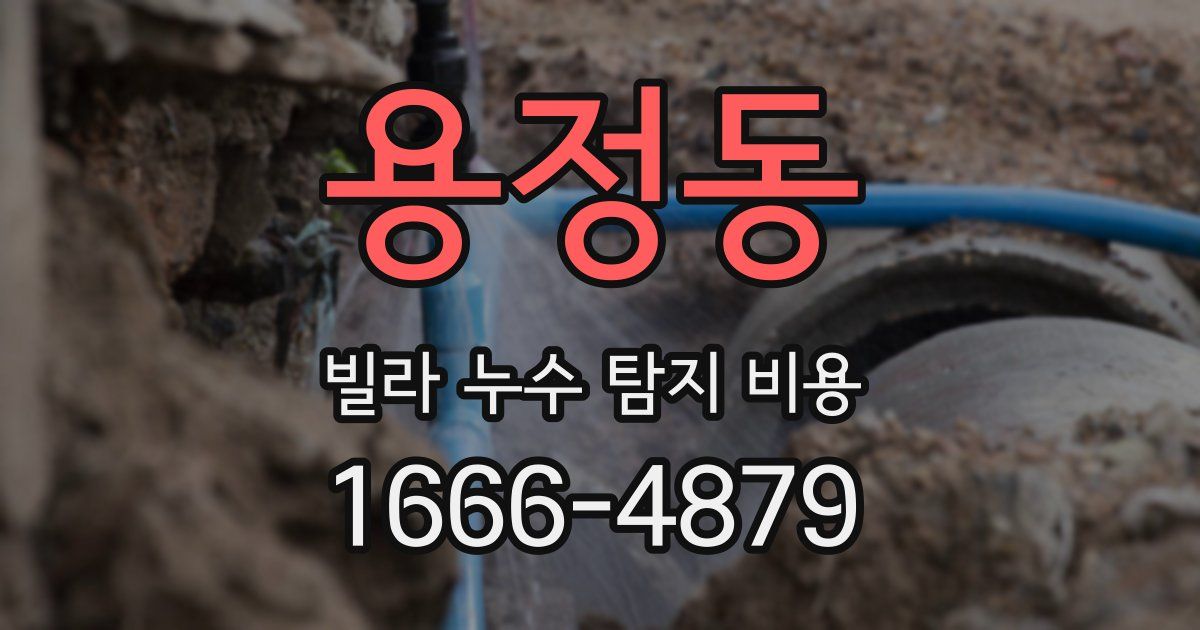 용정동 빌라 누수 탐지 비용