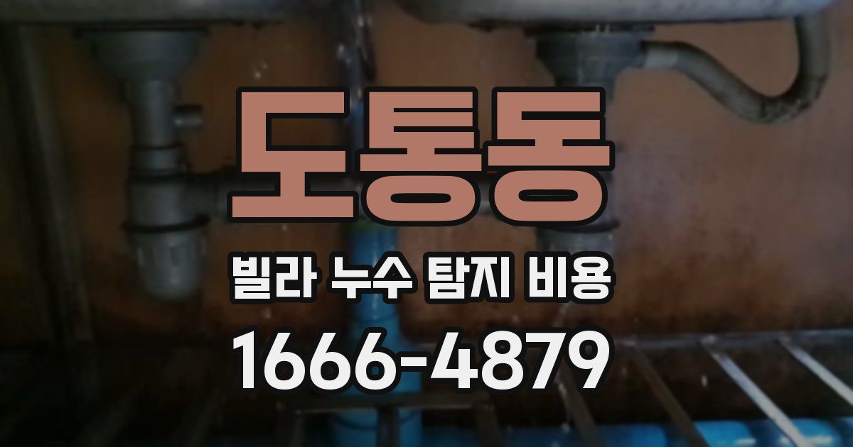 도통동 빌라 누수 탐지 비용