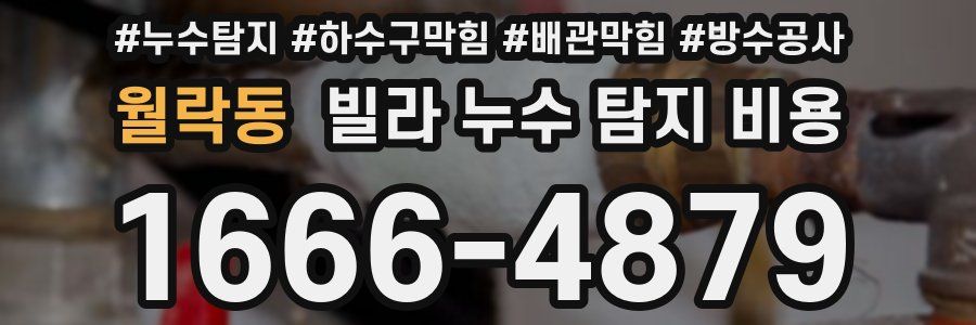 월락동 빌라 누수 탐지 비용