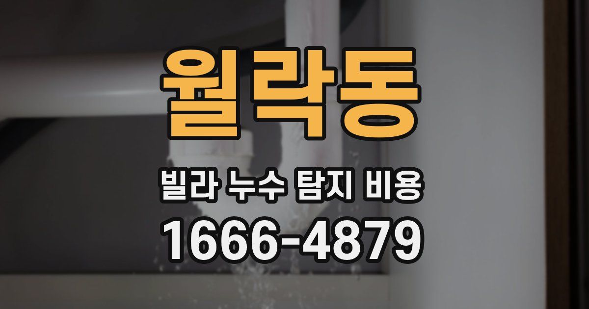 월락동 빌라 누수 탐지 비용