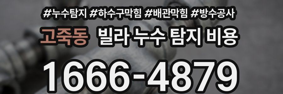 고죽동 빌라 누수 탐지 비용