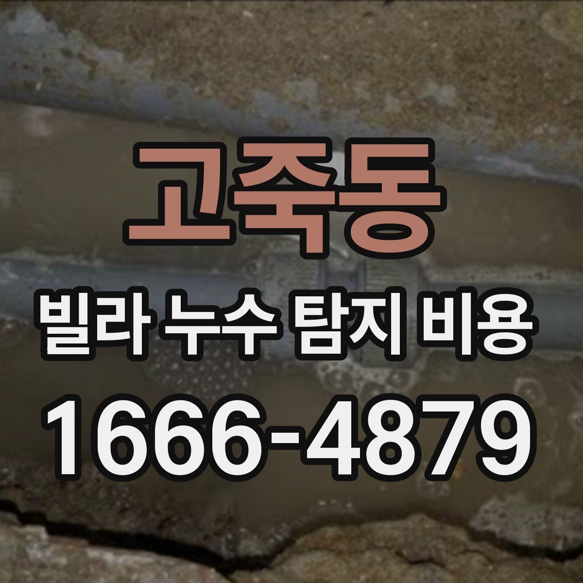 고죽동 빌라 누수 탐지 비용