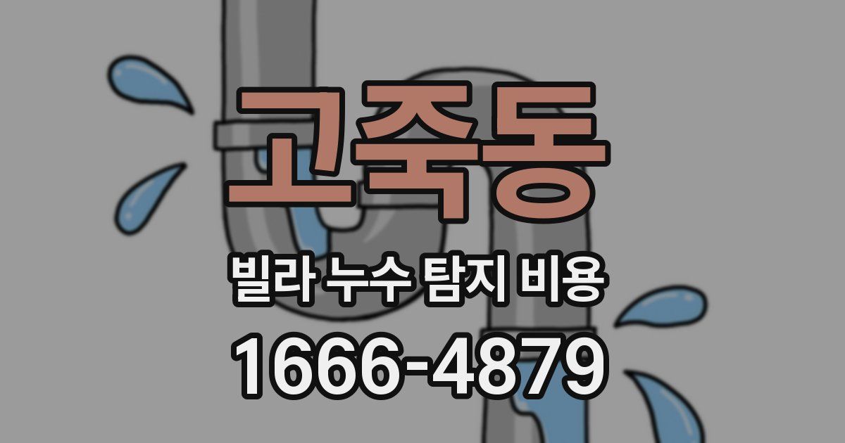 고죽동 빌라 누수 탐지 비용