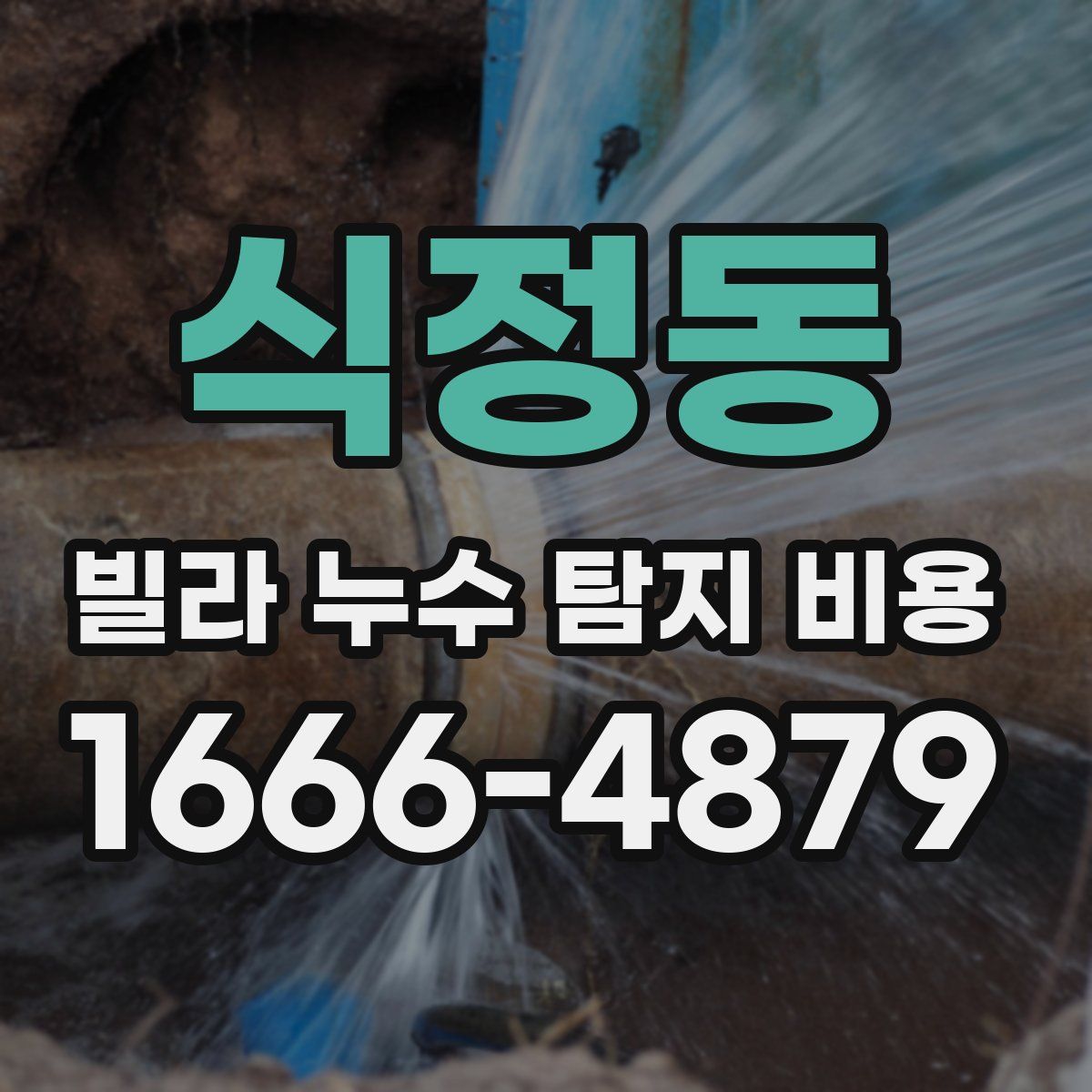 식정동 빌라 누수 탐지 비용