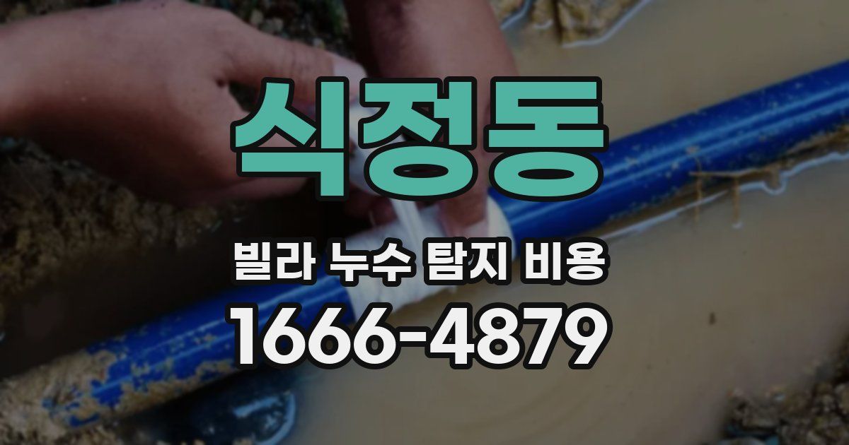 식정동 빌라 누수 탐지 비용
