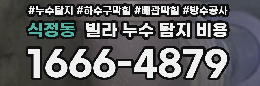 식정동 빌라 누수 탐지 비용