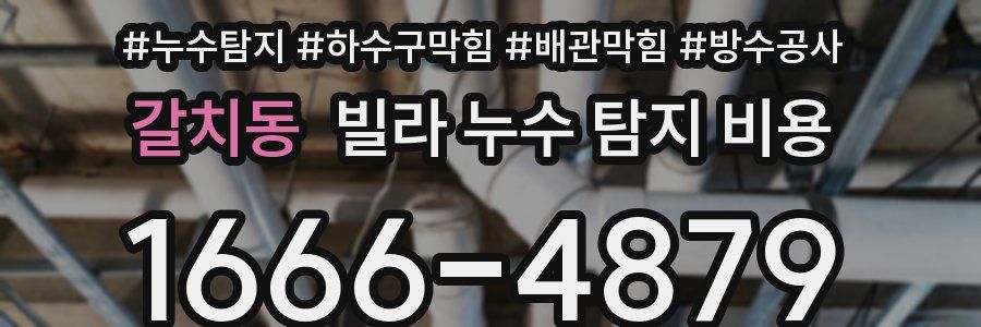 갈치동 빌라 누수 탐지 비용