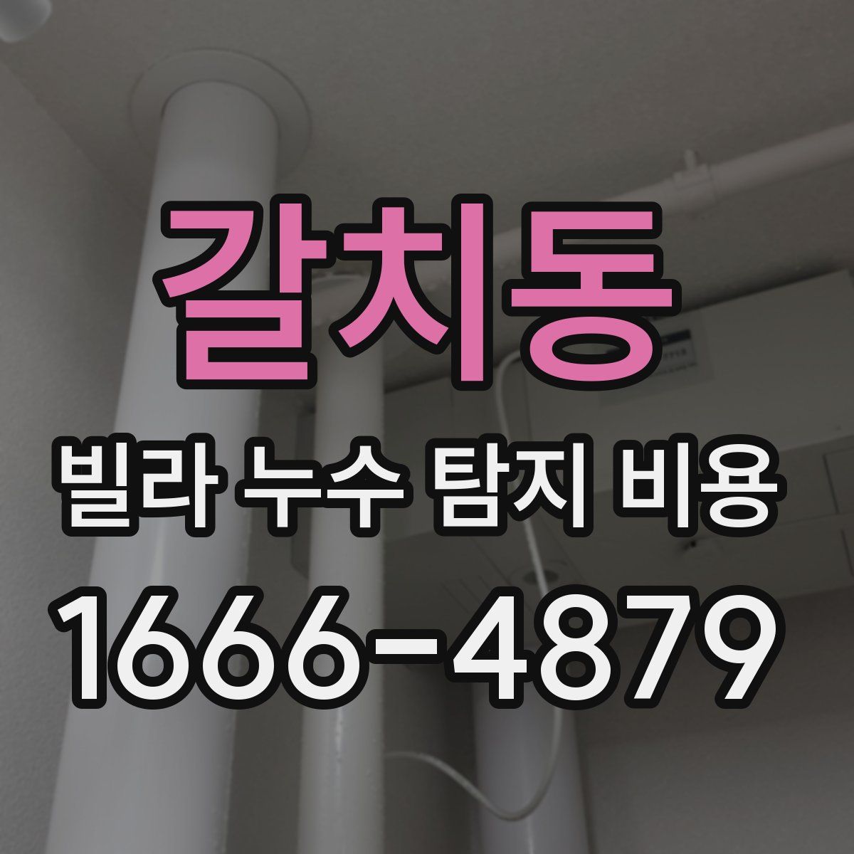 갈치동 빌라 누수 탐지 비용