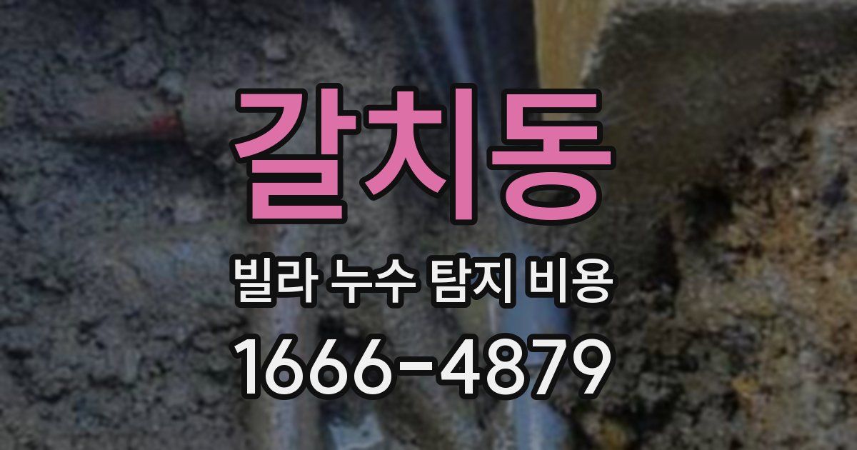 갈치동 빌라 누수 탐지 비용