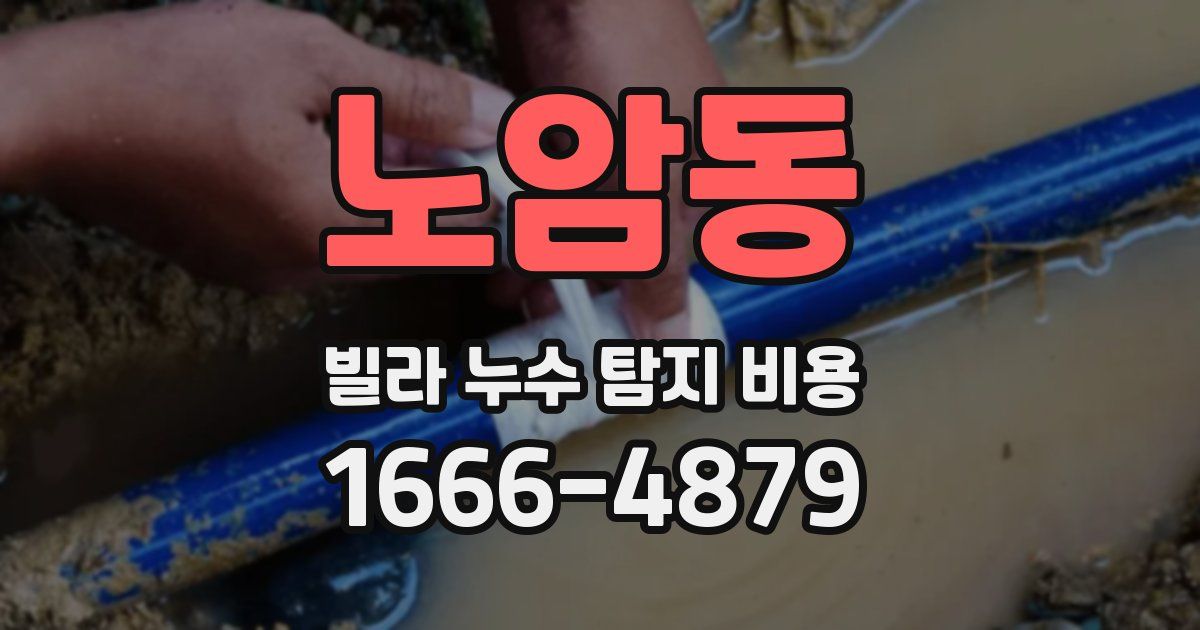 노암동 빌라 누수 탐지 비용