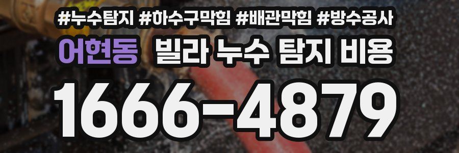 어현동 빌라 누수 탐지 비용
