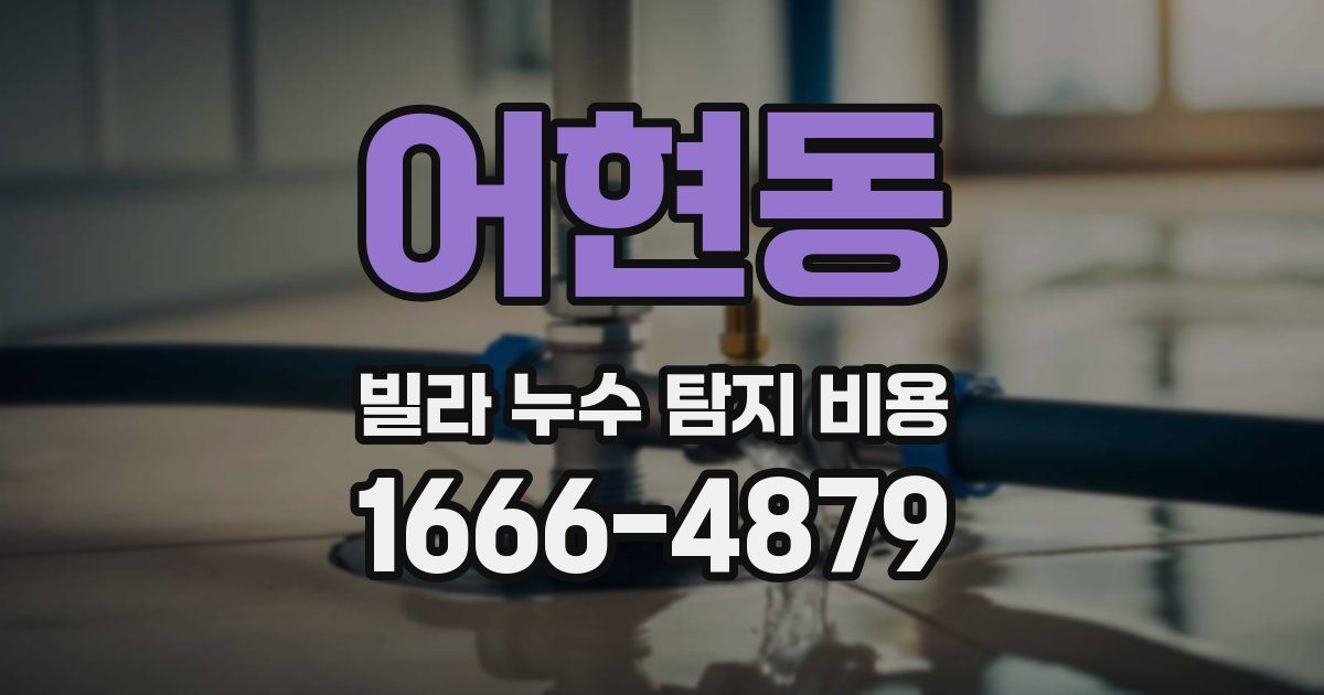 어현동 빌라 누수 탐지 비용