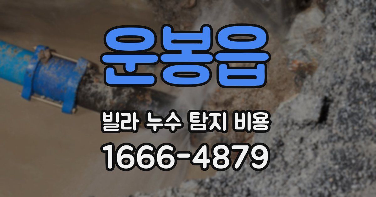운봉읍 빌라 누수 탐지 비용