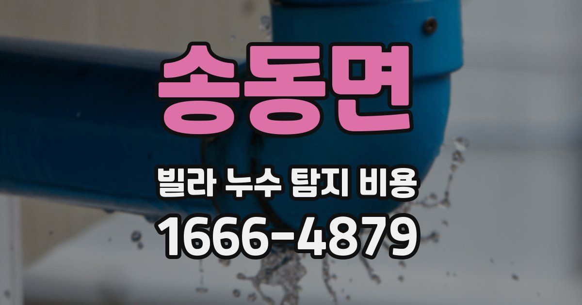 송동면 빌라 누수 탐지 비용