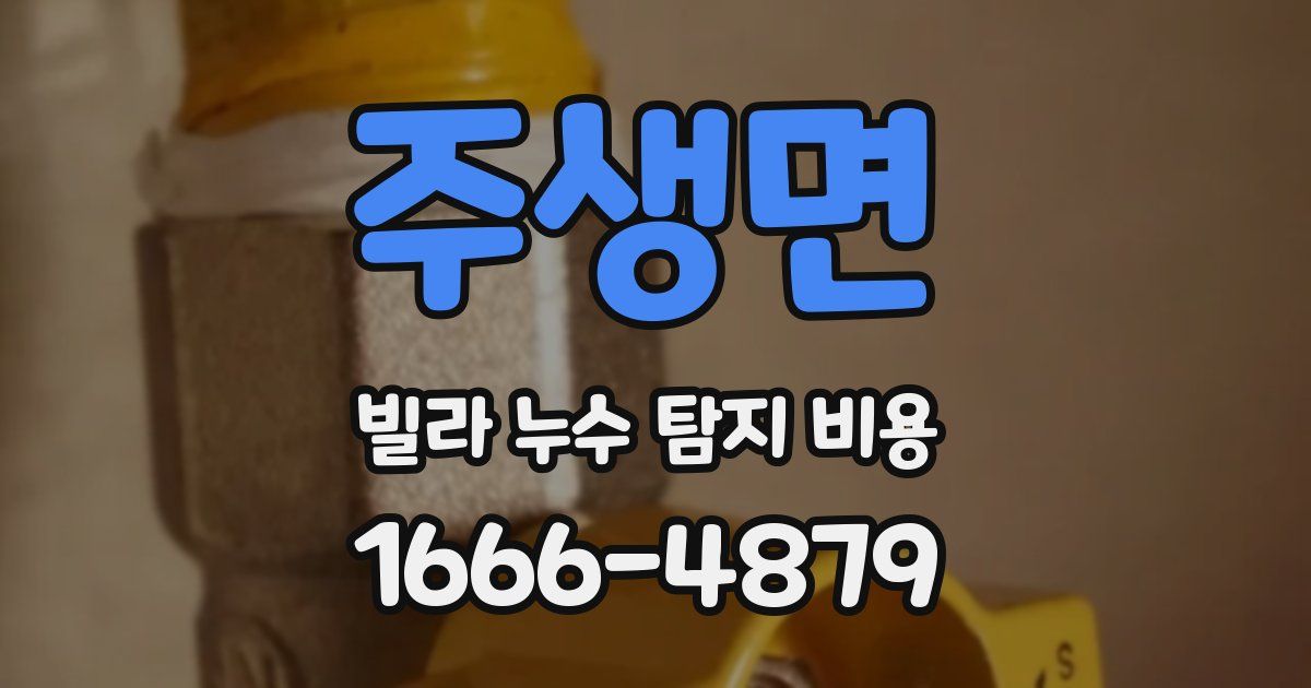 주생면 빌라 누수 탐지 비용