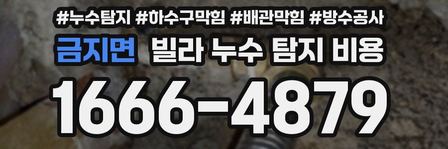 금지면 빌라 누수 탐지 비용