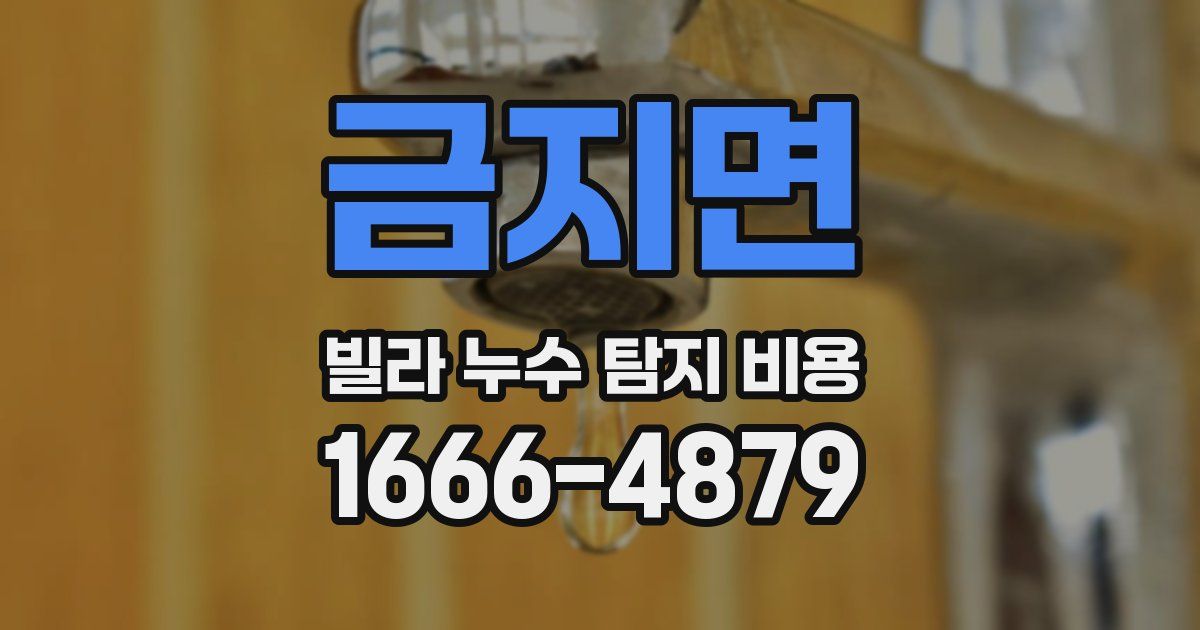 금지면 빌라 누수 탐지 비용