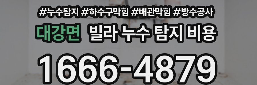 대강면 빌라 누수 탐지 비용