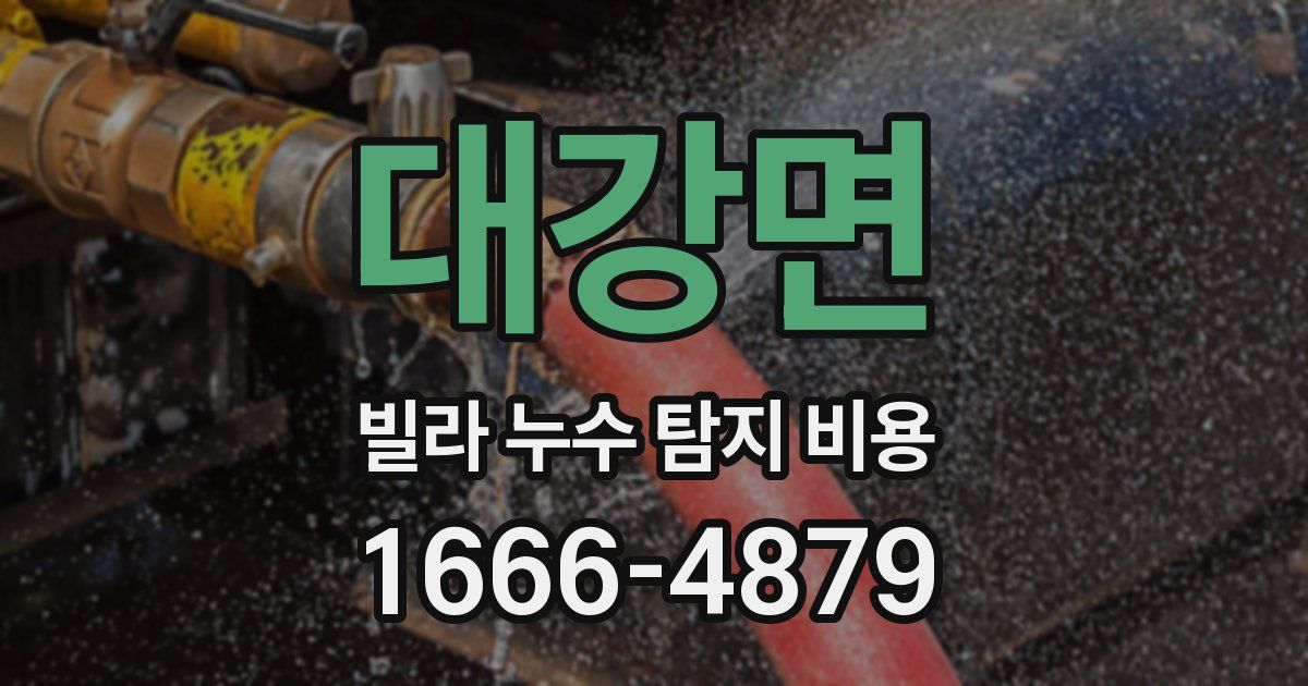 대강면 빌라 누수 탐지 비용