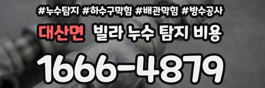 대산면 빌라 누수 탐지 비용