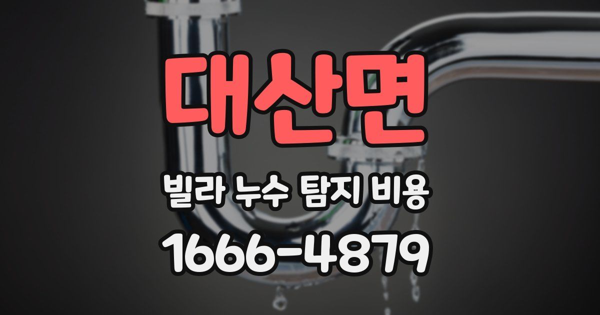 대산면 빌라 누수 탐지 비용