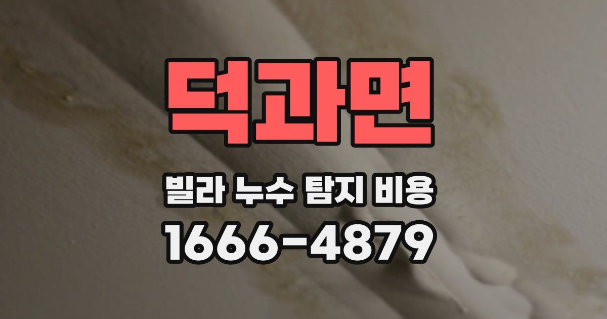 덕과면 빌라 누수 탐지 비용