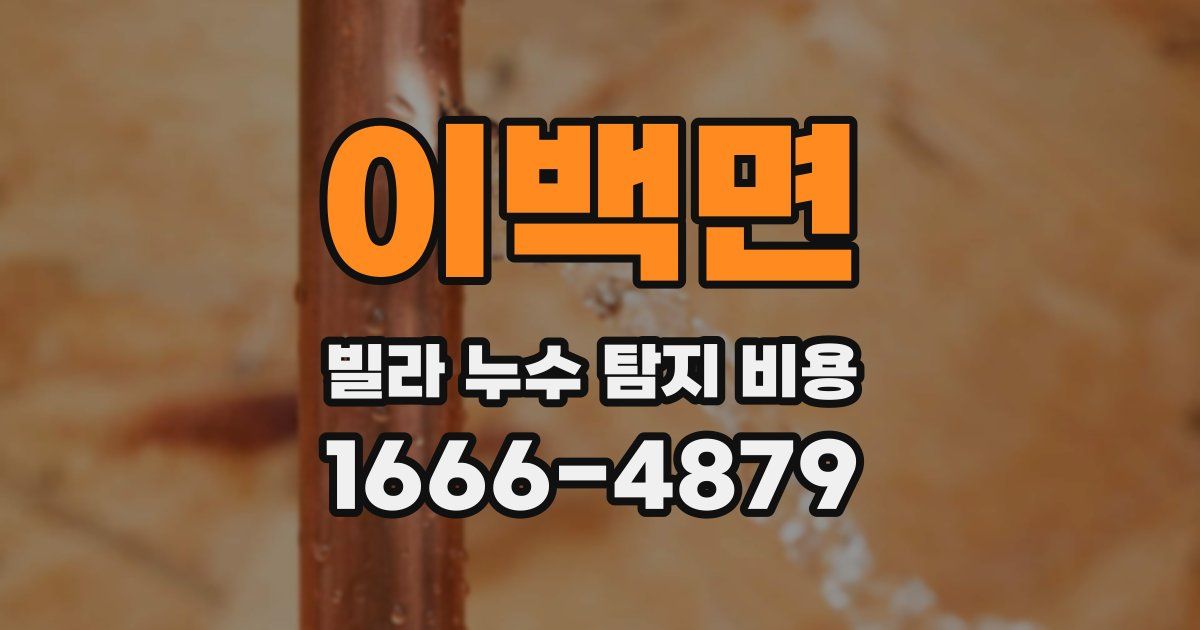 이백면 빌라 누수 탐지 비용