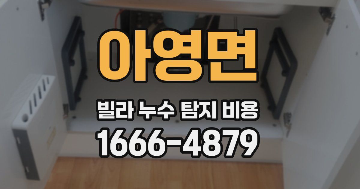 아영면 빌라 누수 탐지 비용