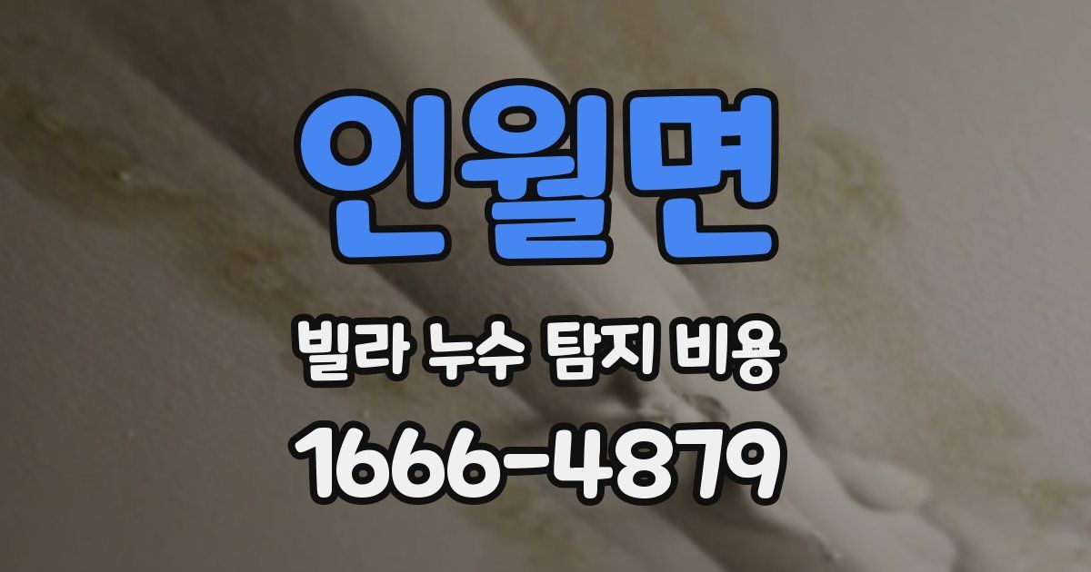 인월면 빌라 누수 탐지 비용