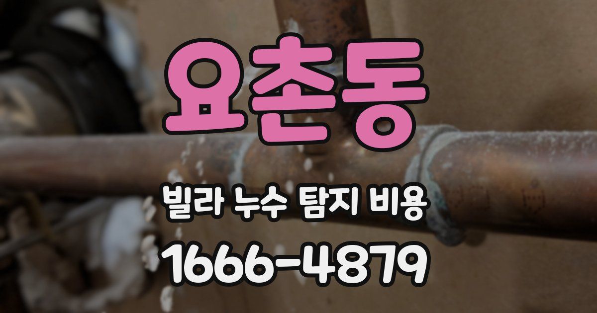 요촌동 빌라 누수 탐지 비용
