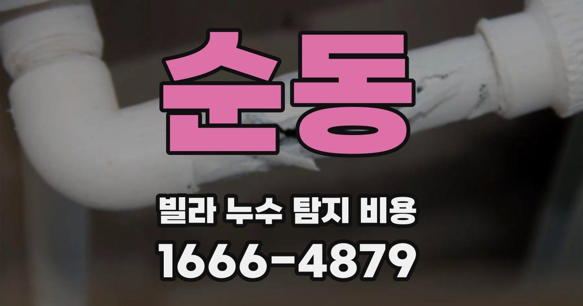 순동 빌라 누수 탐지 비용